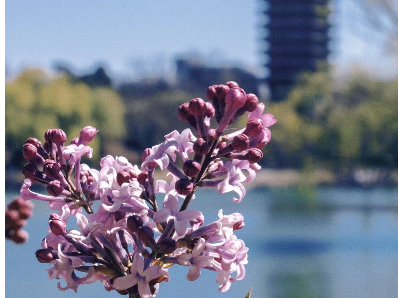 首页| 9001cc金沙集团以诚为本官网