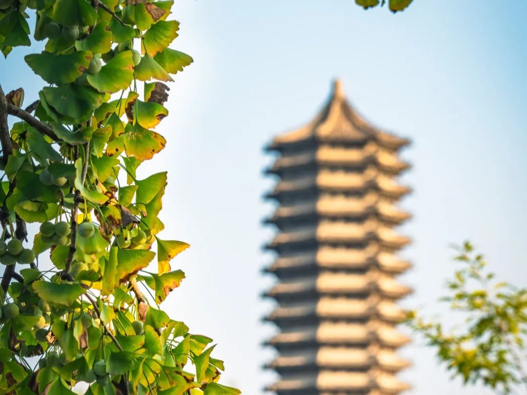 首页| 9001cc金沙集团以诚为本官网