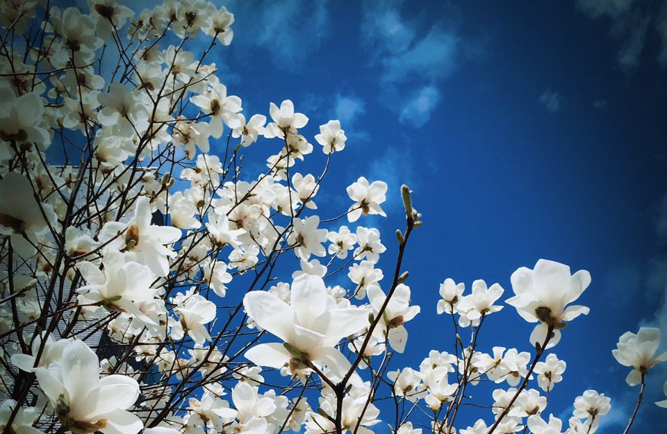 首页| 9001cc金沙集团以诚为本官网