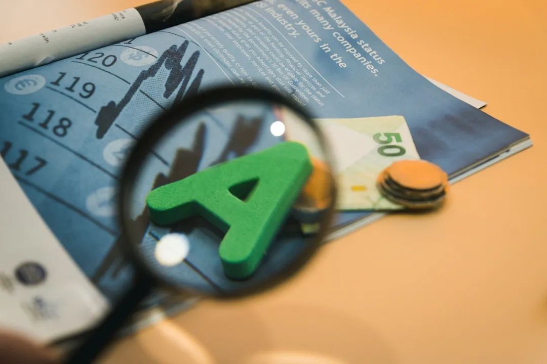 汇报｜卢海：一文获取A股上市公司信息披露和ESG的“蹊径”