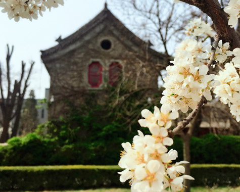 首页| 9001cc金沙集团以诚为本官网