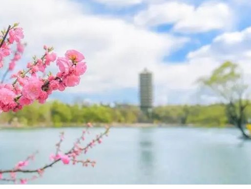 首页| 9001cc金沙集团以诚为本官网