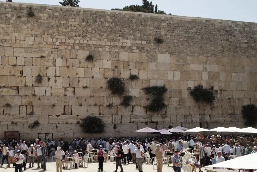 D1789B05EA4FC95B7CDEF9FF278_10A7AC0B_19B75