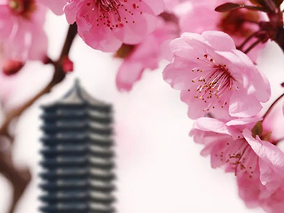 首页| 9001cc金沙集团以诚为本官网