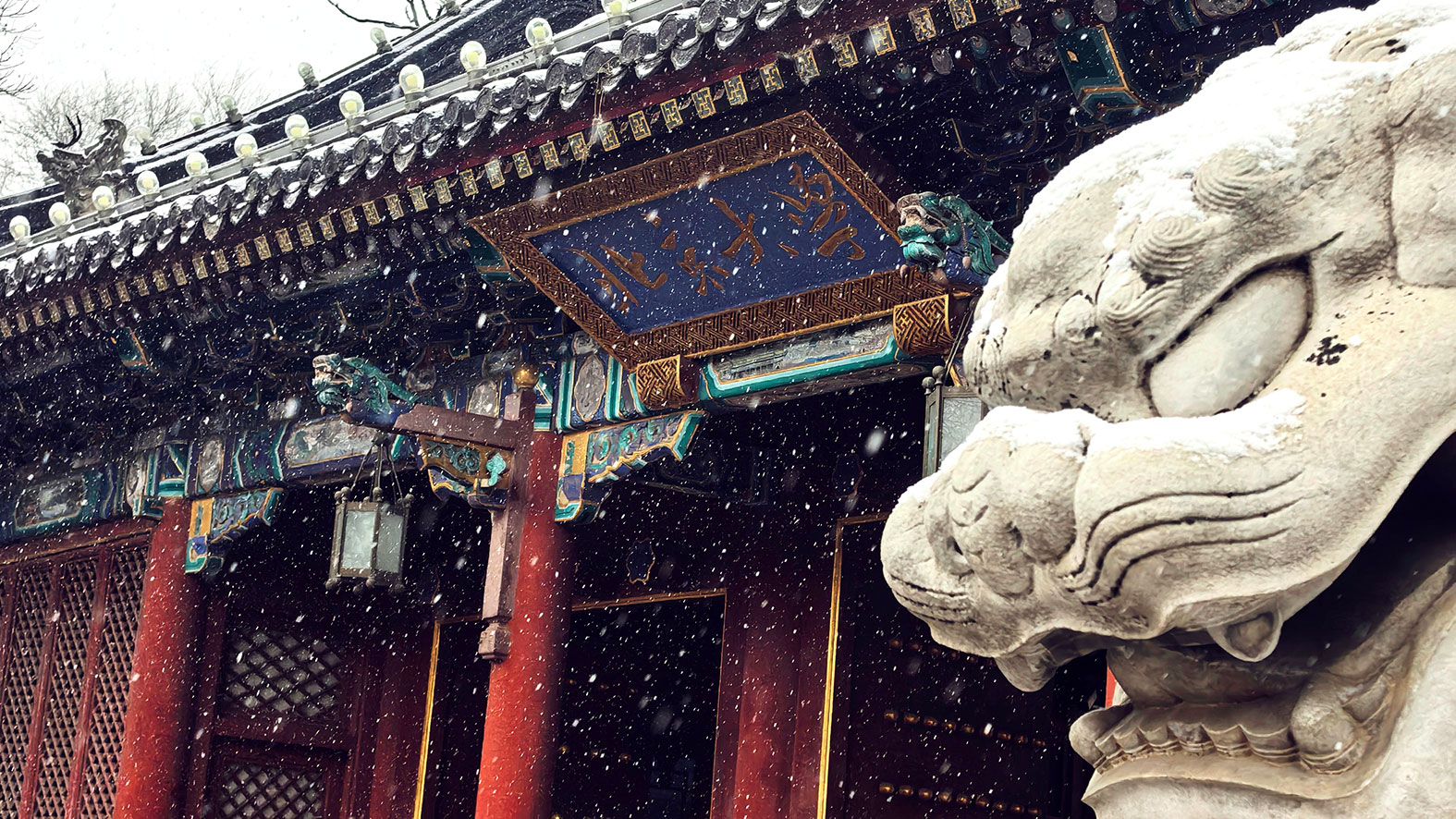 首页| 9001cc金沙集团以诚为本官网